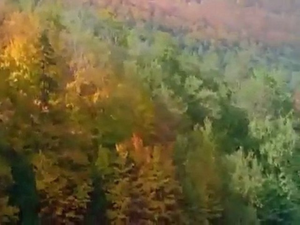 Nefsi her zeman kontrol altında tutmalı (İmam-ı Gazali hazretleri) Rahmetullahi Teala Aleyh