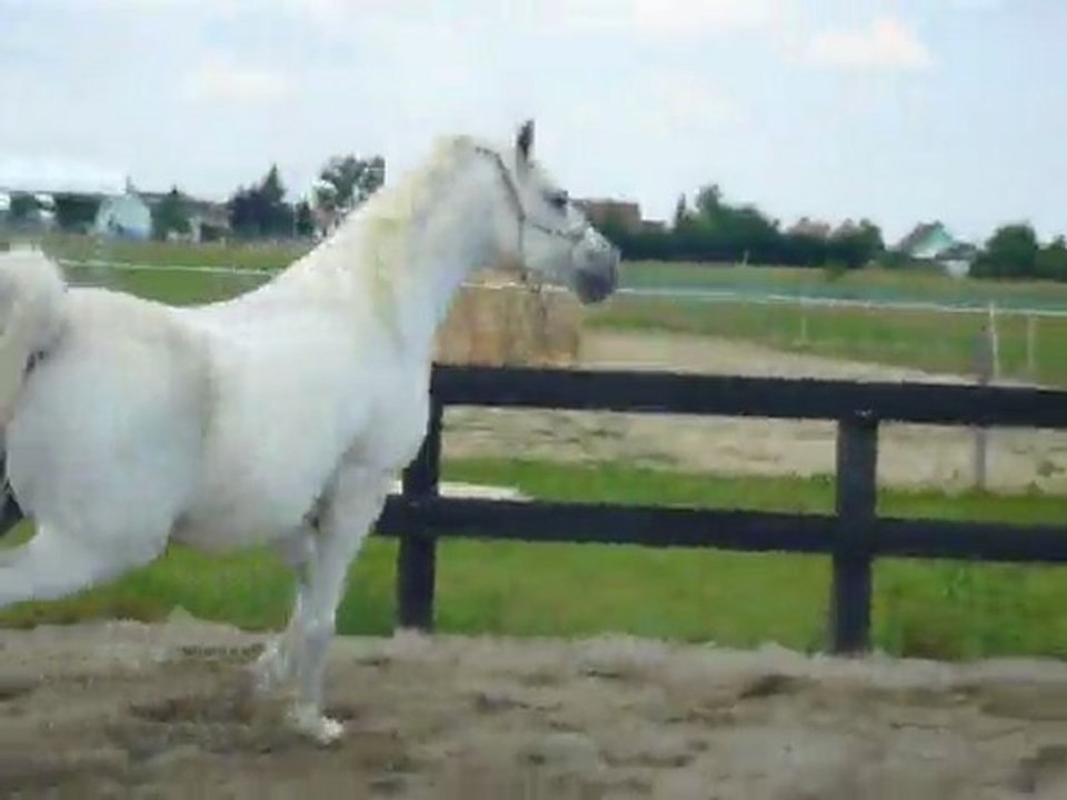 Gala 19 mai 01