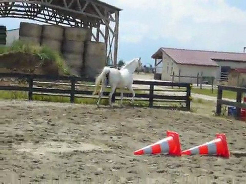 Gala 19 mai 03