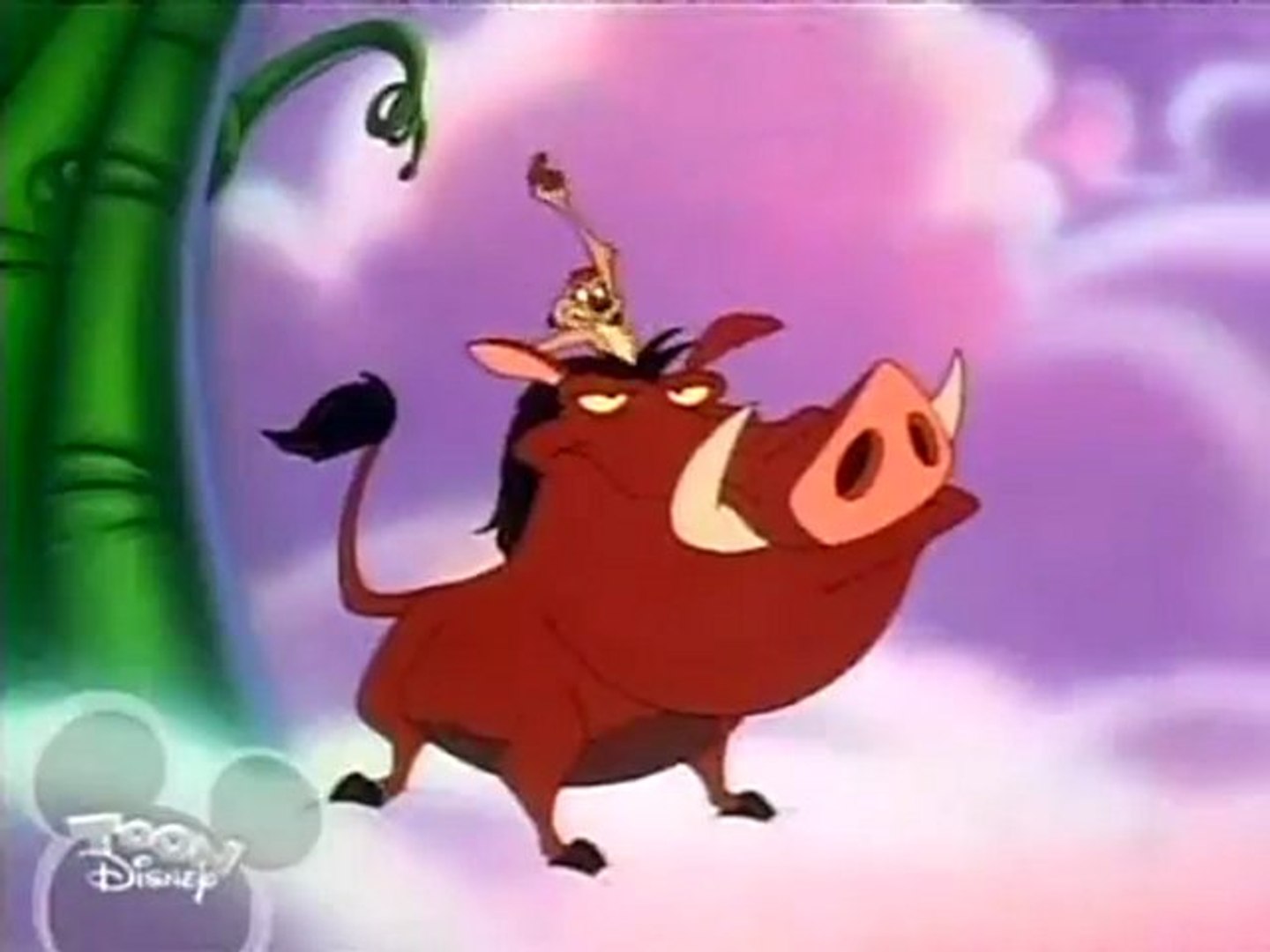 Timon And Pumbaa Real