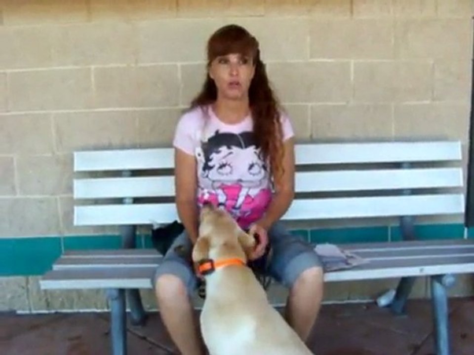 YouTube - Proper use of Electronic- E-collars Dogtra-1