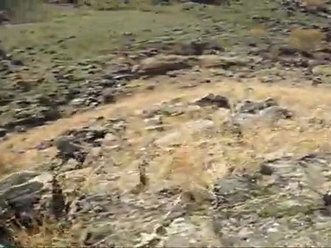 keklik avı kodobay mirza derviş mezher avyaban.com