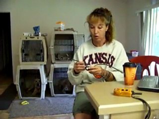 YouTube - How to Stop Barking Dogtra