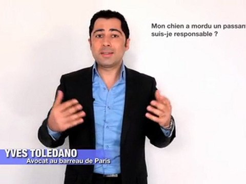 Yves Tolédano Avocat: maitriser son chien