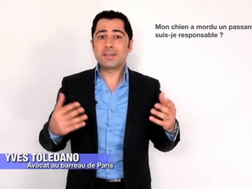 Yves Tolédano Avocat: maitriser son chien