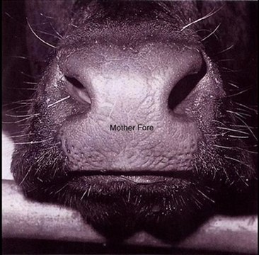 Breast Milky / Mother Fore