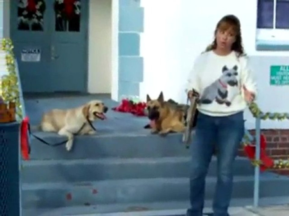 YouTube - Why E-collars work better than other collars!