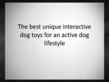Interactive Dog Toys - New Active Toys For Your Dog