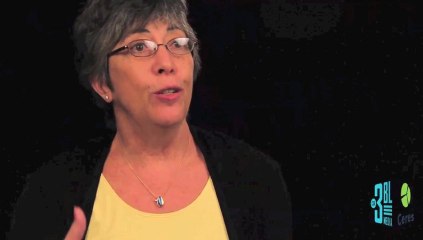 Ceres Conference 2011, with Kathrin Walker, EMC