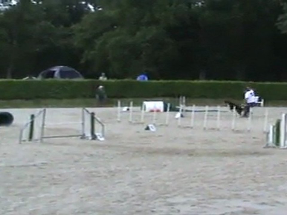 agility