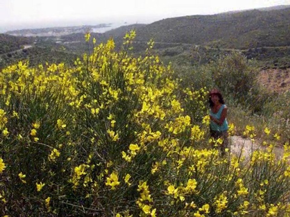 wee kend  lloret del  mar