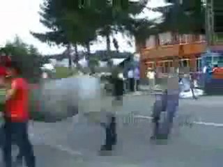 0324 - Homme Owned par un cheval