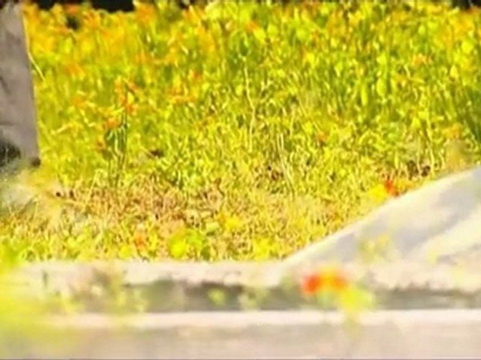 Haalu Hurigothey ( Hiyy Dhoonvy )