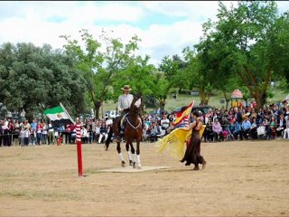 Danza ecuestre 2011