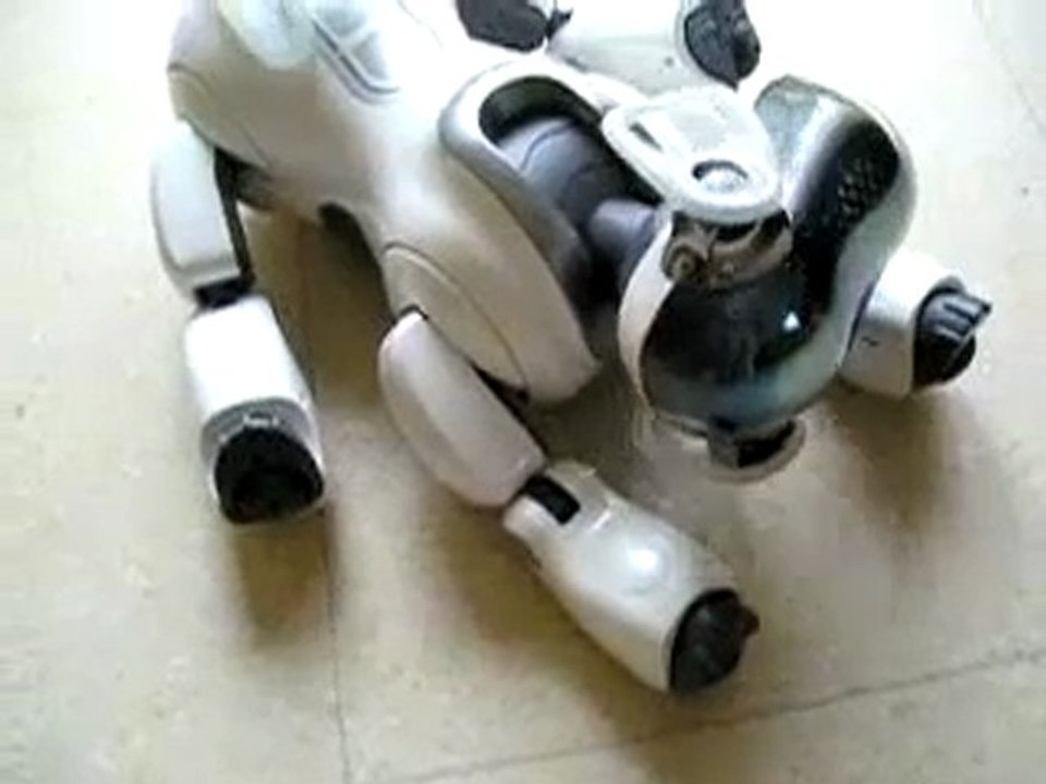 Sony Aibo