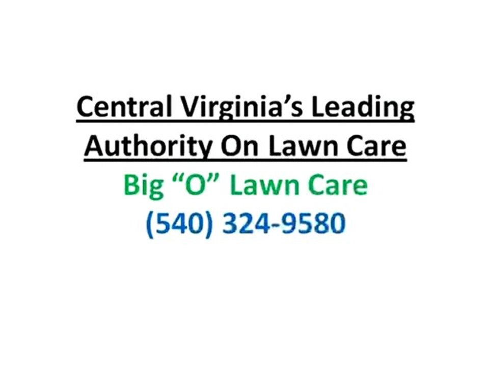 Lawn Care Company Charlottesville VA|Weeds and Dandelions
