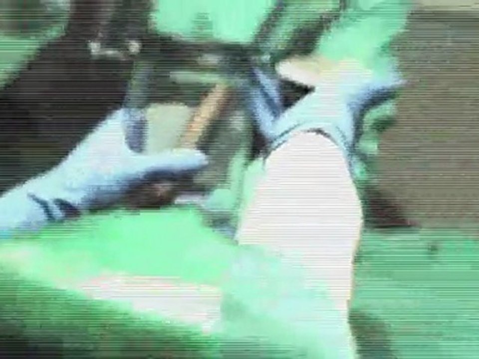 Duke Nukem Autopsie Alien