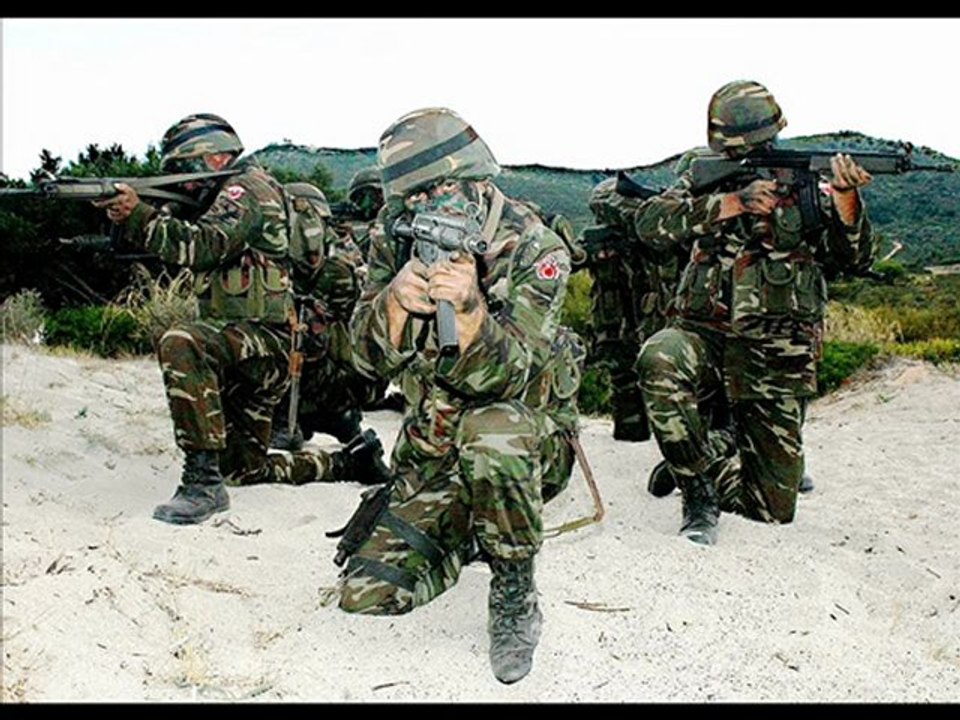 Turkish Armed Forces (TAF)