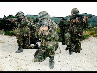 Turkish Armed Forces (TAF)