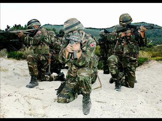 Turkish Armed Forces (TAF)