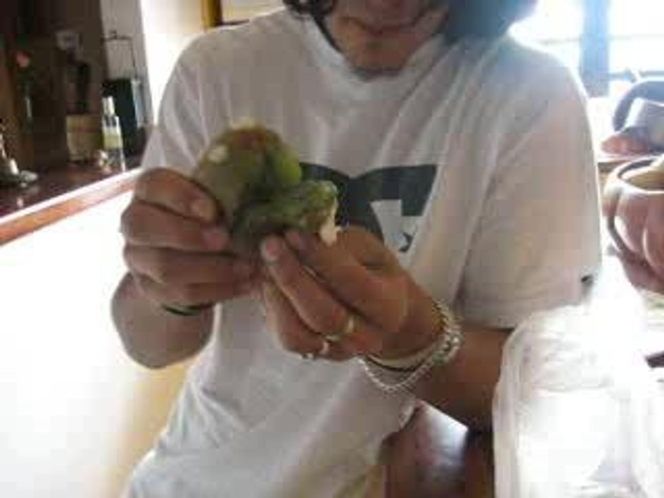 Monsieur kiwi, Pavlova et cie