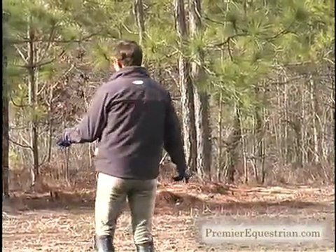 Horse Jumps - Horse Jump