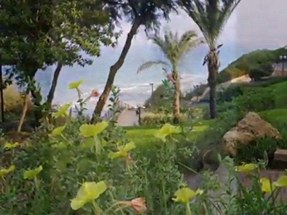 ALELUHYA..ISRAEL-SHALOM-ISRAEL.shalom-jerusalen@hotmail.com