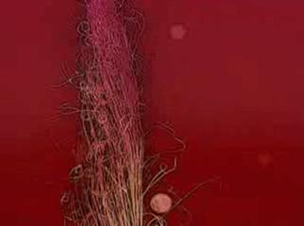 Madonna - Get Together