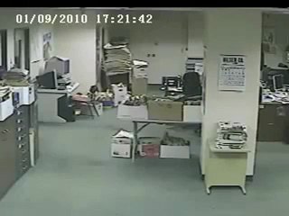 Depremi hisseden köpek !