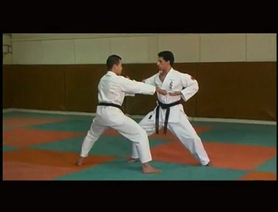 Uechi-ryu karate - Techniques