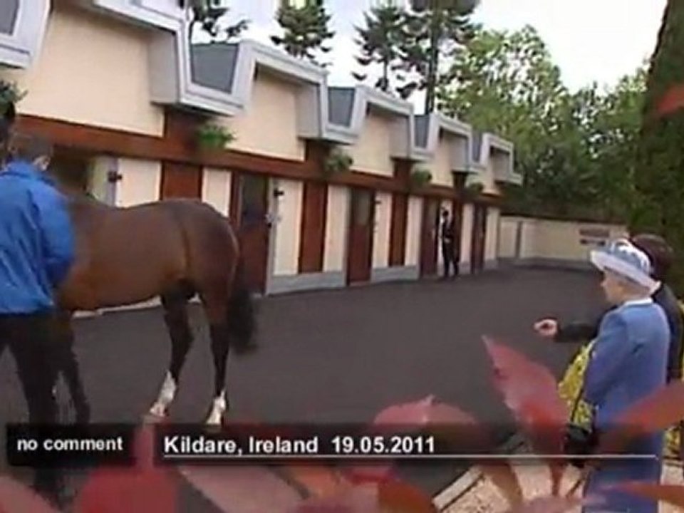 Britain's Queen Elizabeth admires Irish horses - no comment