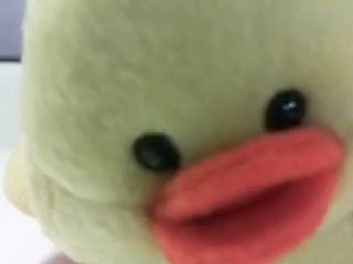 NAISSANCE DU POUSSIN