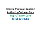 Lawn Care Company Lexington VA|Weeds and Dandelions