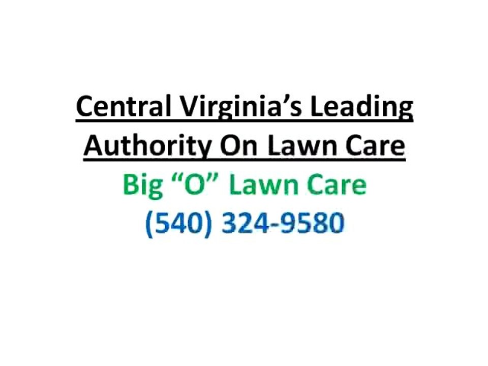 Lawn Care Company Lexington VA|Weeds and Dandelions