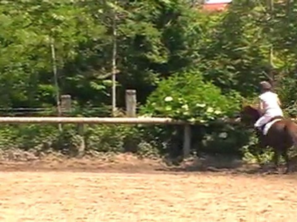 dressage régal et éva club 1