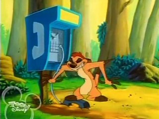 Timon and Pumbaa - Miss Perfect