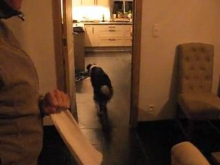 une soirée tranquille ...