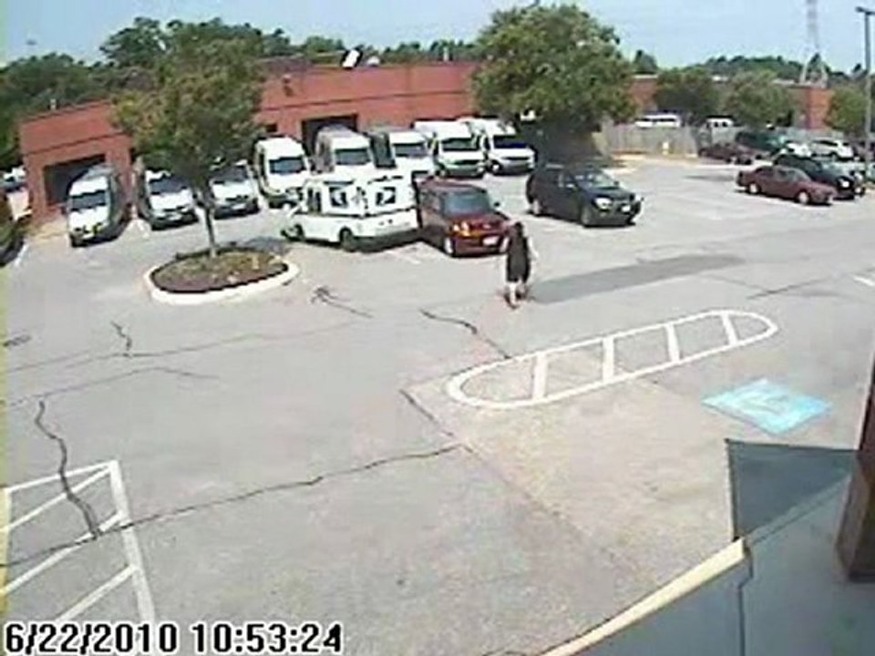 Профукал тачку /auto crash(strangeworlds.at.ua)