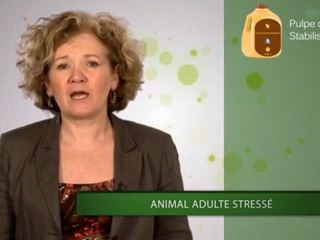 Animal Sportif N°5