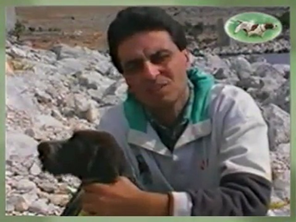 Bıldırcın Avı www.avyaban.com - ergo