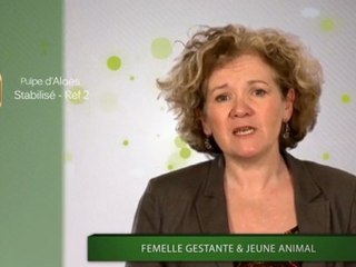 Femelle Gestation N°9