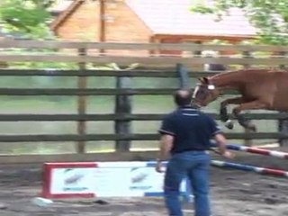 Upla boom local verquigneul