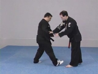 American Kenpo Karate - Techniques pour débutant