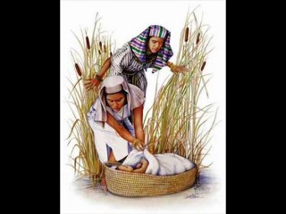 Prophet Moses 1 (by Turgay Evren)