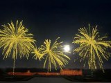 Fireworks - Concours Chantilly 2011 - Appoints The Way You Like...