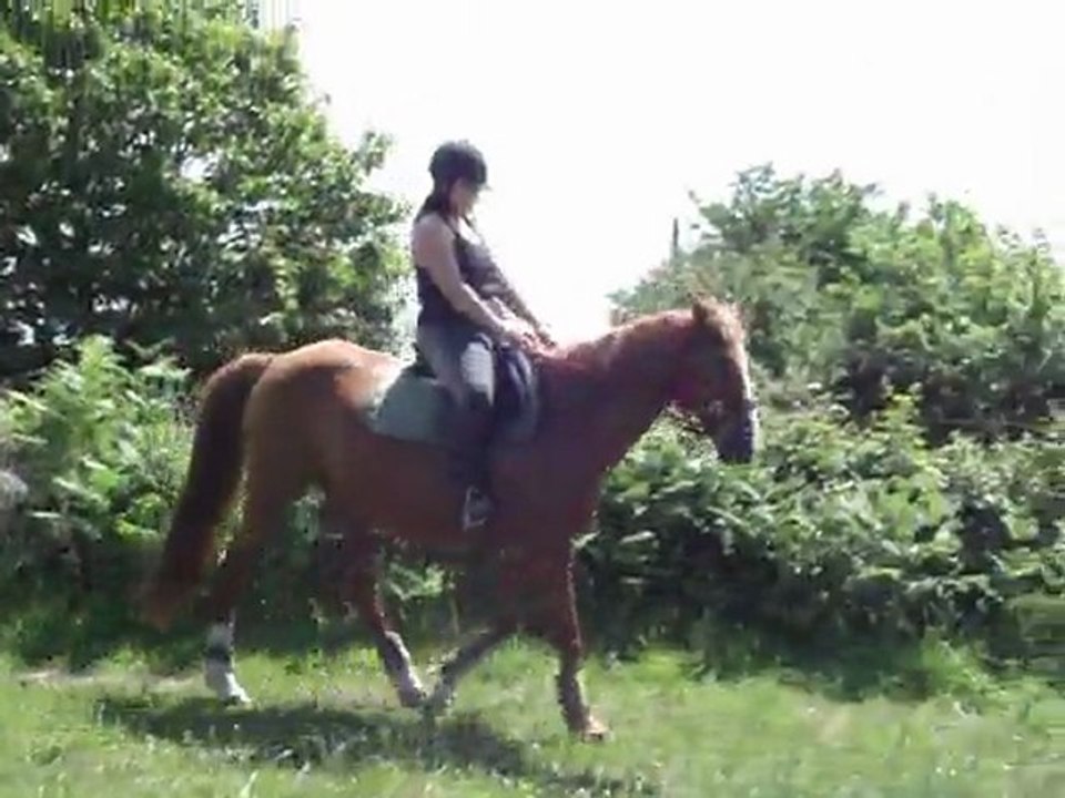 20/05/11 alexa et gerfaut