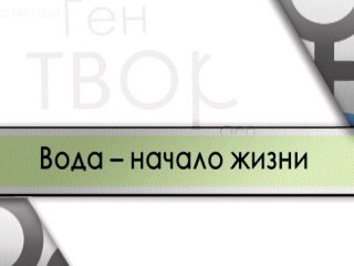 Вода - начало жизни