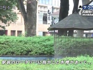 sakusaku 110520 3 みんなでうたおうＺ～武蔵境のうた～