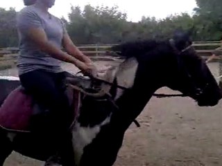 monté trot en longe