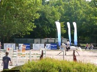 le grand cheval blanc